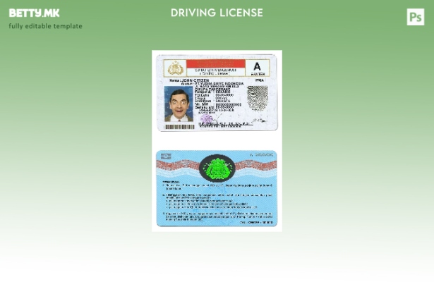 Шаблон за возачка дозвола од Индонезија во модерен стил